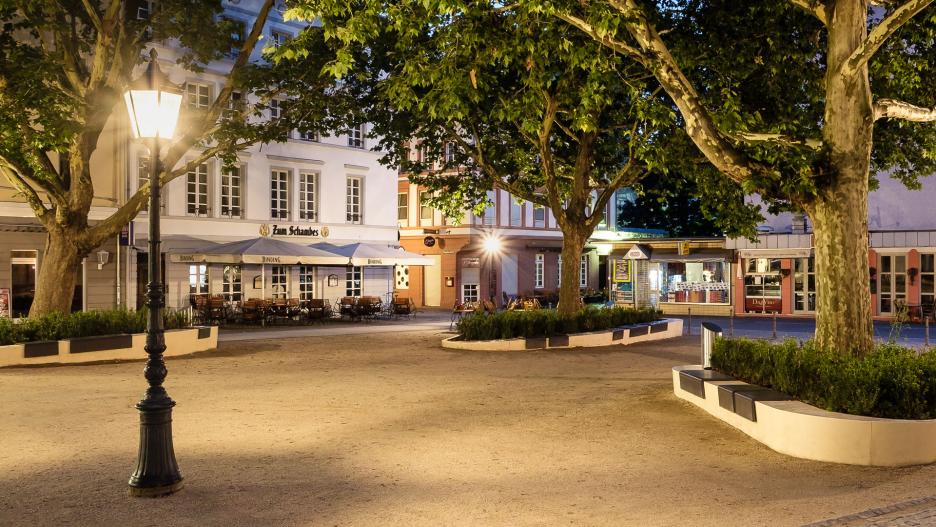 Hopfengarten, Mainz